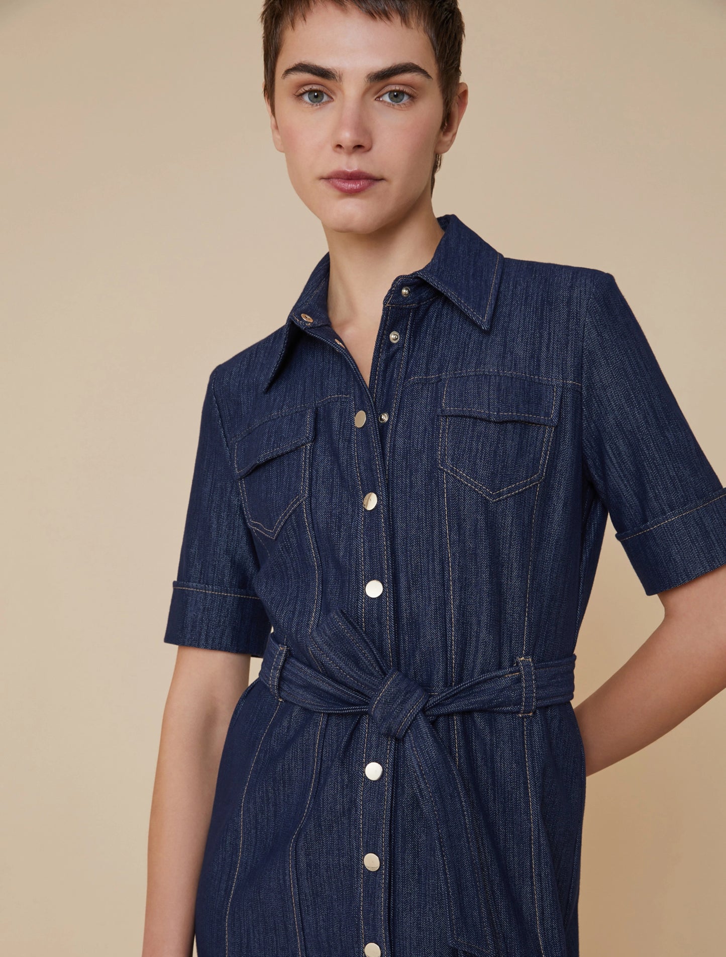 Penny Black Denim Saturno Dress